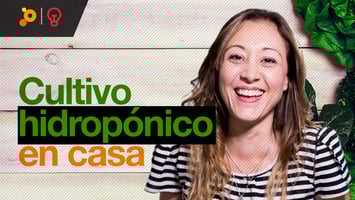 cultivo Hidropónico
