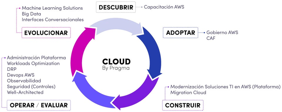 GRAFICA_CICLO_micrositio_aws