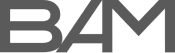 LOGOS_consultoria_en_agilismo21