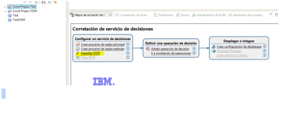 IBM ODM